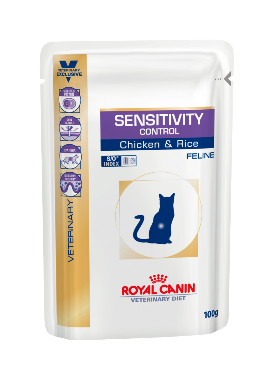 從 如廁姿勢 觀察貓咪是否患有下泌尿道疾病 專業獸醫師 吳展祥醫師 說寵物